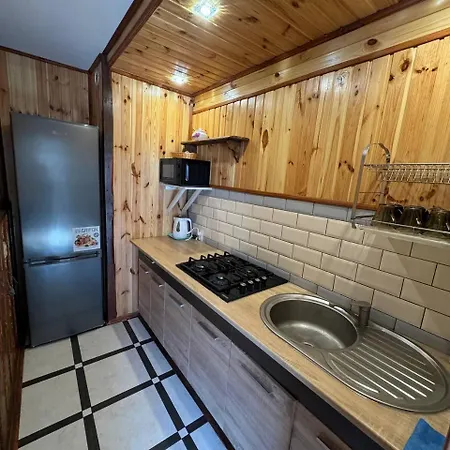 Appartement живописні карпати люкс