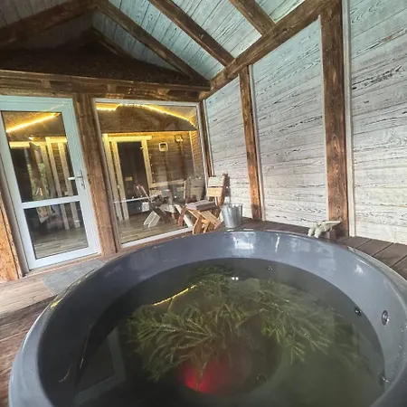 живописні карпати люкс Apartament