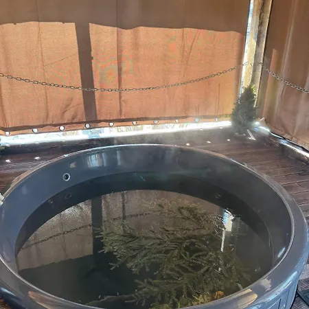 живописні карпати люкс *