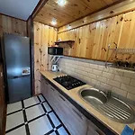 живописні карпати люкс Apartament