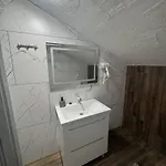 живописні карпати люкс Apartament